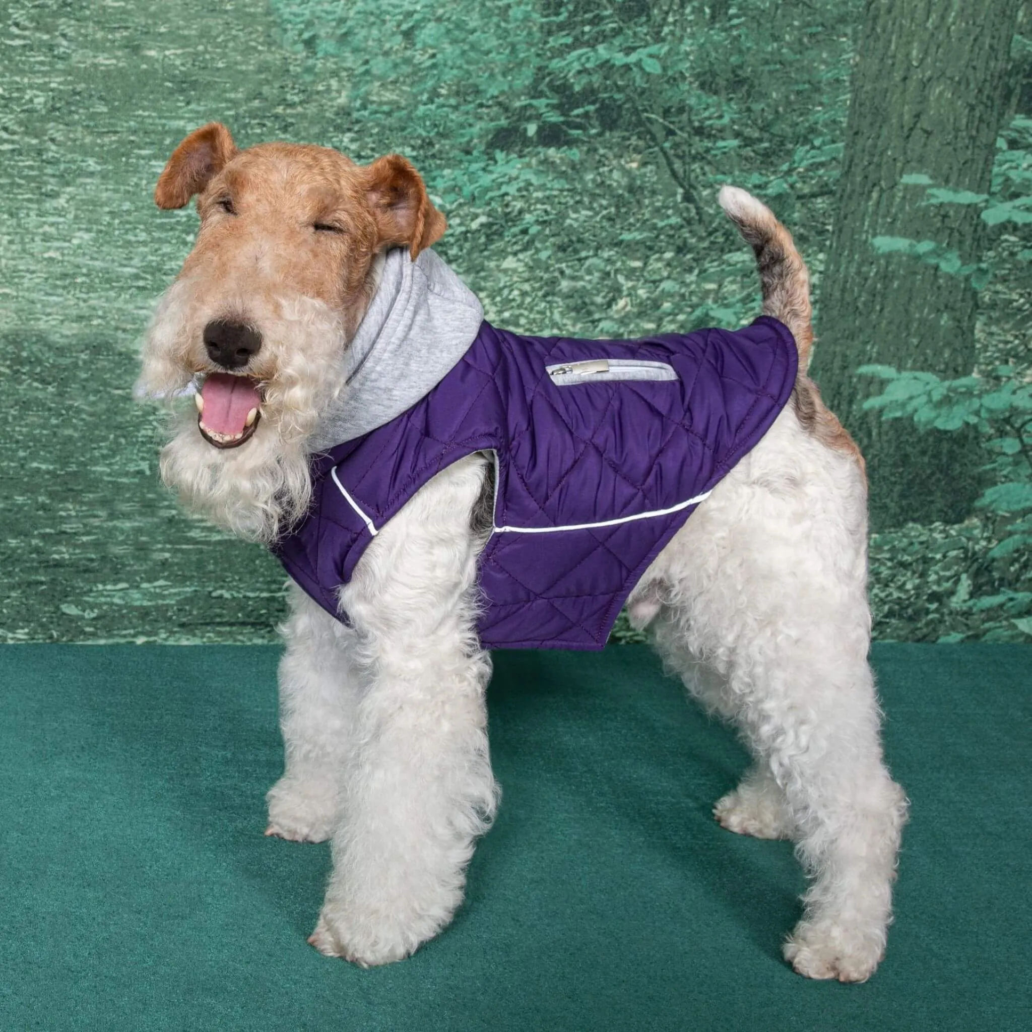 Weekender Sweatshirt Dog Hoodie - Purple